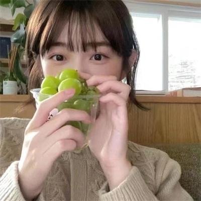 几度菊花香