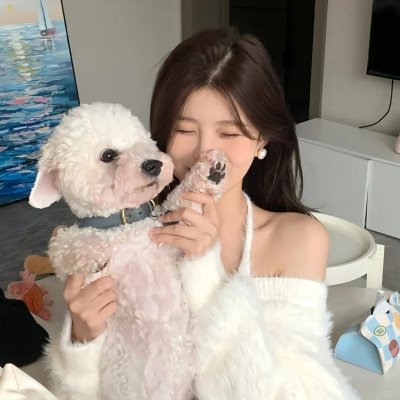 不得不爱第二季